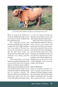 Load image into Gallery viewer, Beef Cattle
