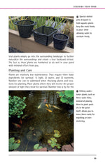 Garden Ponds