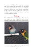 Load image into Gallery viewer, Lovebirds
