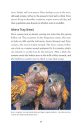 Load image into Gallery viewer, Conures
