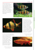 Load image into Gallery viewer, Freshwater Aquariums
