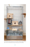 Load image into Gallery viewer, Chinchillas
