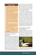 Load image into Gallery viewer, Ducks
