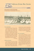 Load image into Gallery viewer, Ducks
