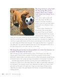 Load image into Gallery viewer, Marc Morrone's Ask the Dog Keeper
