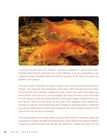 Marc Morrone's Ask the Fish Keeper