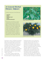 Herbs for Pets