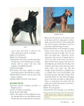 Load image into Gallery viewer, Original Dog Bible

