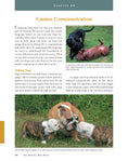 Load image into Gallery viewer, Original Dog Bible

