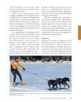 Load image into Gallery viewer, Original Dog Bible
