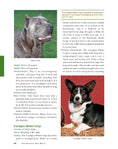 Load image into Gallery viewer, Original Dog Bible
