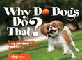 Load image into Gallery viewer, Why Do Dogs Do That?
