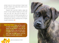 Load image into Gallery viewer, Why Do Dogs Do That?
