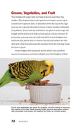 Load image into Gallery viewer, Budgies
