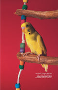 Load image into Gallery viewer, Budgies
