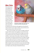 Load image into Gallery viewer, Budgies
