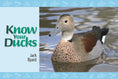 Load image into Gallery viewer, Know Your Ducks

