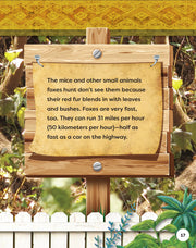 Kids' Backyard Safari: Red Foxes