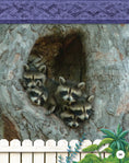 Load image into Gallery viewer, Kids' Backyard Safari: Raccoons
