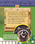 Load image into Gallery viewer, Kids' Backyard Safari: Raccoons
