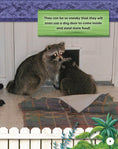 Load image into Gallery viewer, Kids' Backyard Safari: Raccoons
