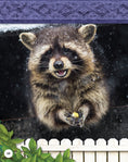 Load image into Gallery viewer, Kids' Backyard Safari: Raccoons

