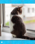 Load image into Gallery viewer, If Animals Could Talk: Cats
