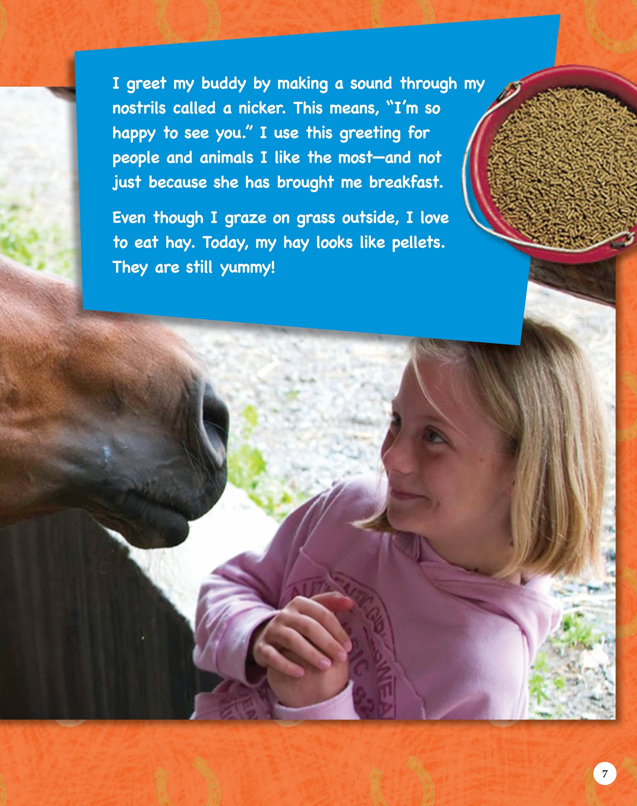 If Animals Could Talk: Horses
