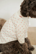 Load image into Gallery viewer, Xoxo sweater
