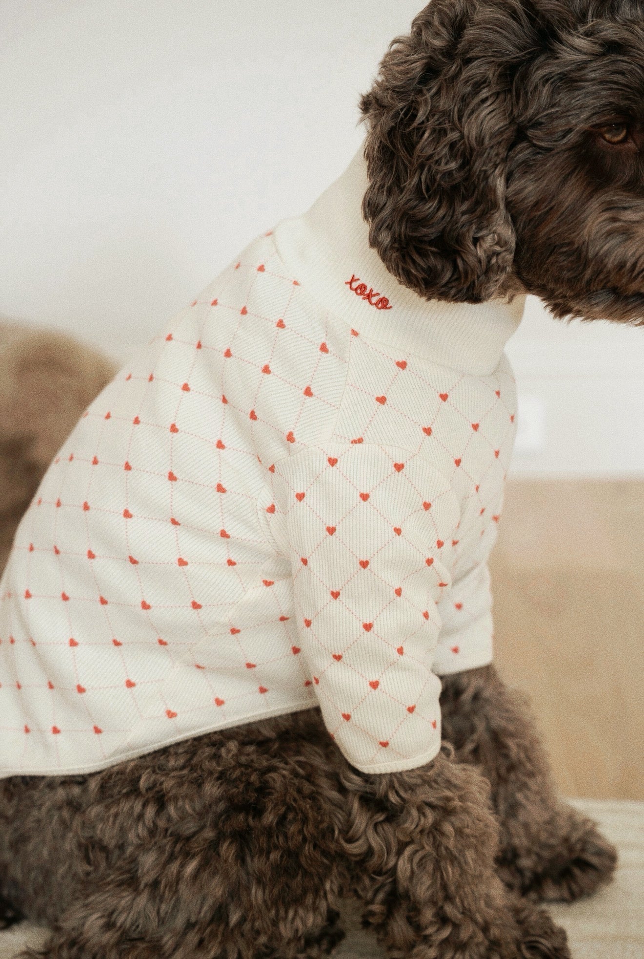 Xoxo sweater