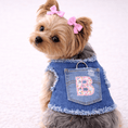 Load image into Gallery viewer, Denim Harness with Floral Initial
