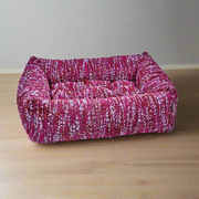 The Franklin-Fuchsia Fiesta