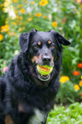 Load image into Gallery viewer, Happy Tennis Ball
