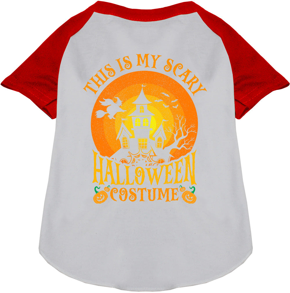 Scary Halloween Costume Pet Raglan Shirt
