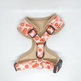 Load image into Gallery viewer, Flower Power Harness 
