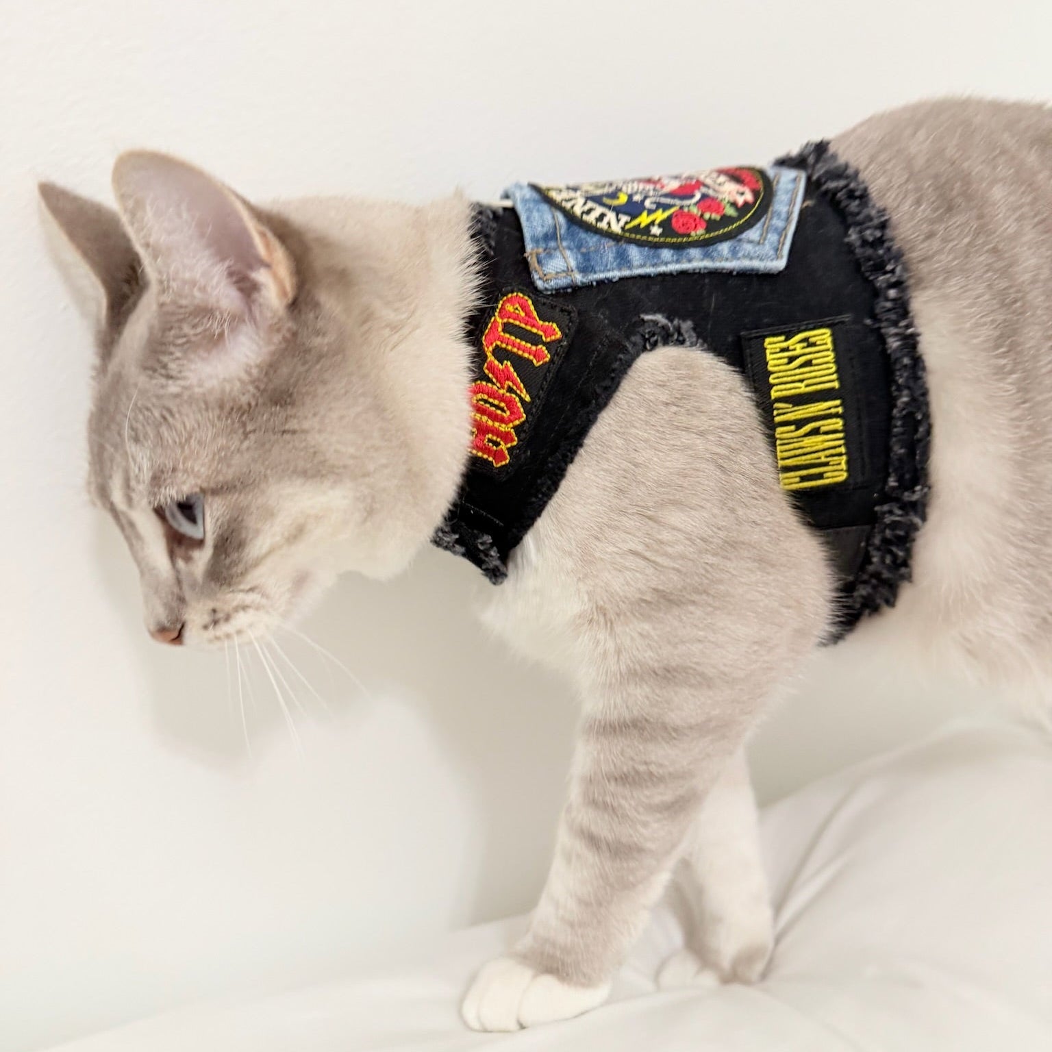 9 Lives Harness