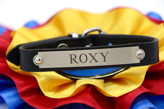 Pony Bracelet - image 9