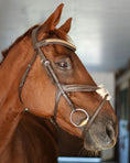 Load image into Gallery viewer, Gold Accented Figure 8 Bridle with Gold Browband
