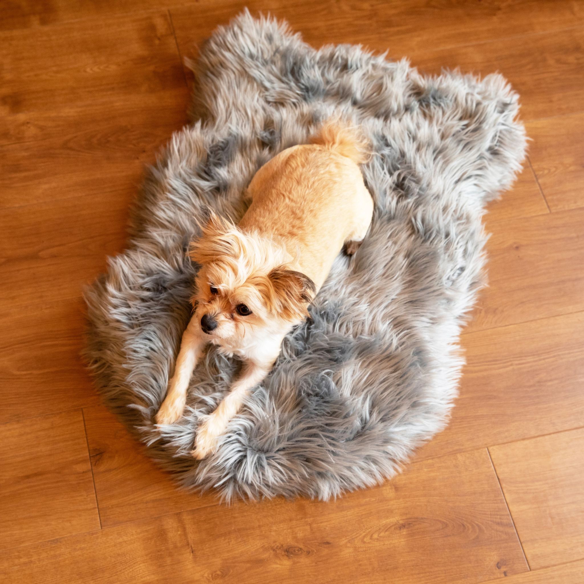 PupRug Faux Fur Orthopedic Dog Bed - Curve Charcoal Grey