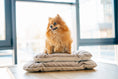 Load image into Gallery viewer, Tomas Pillow for Small Dogs - Southlake Paws

