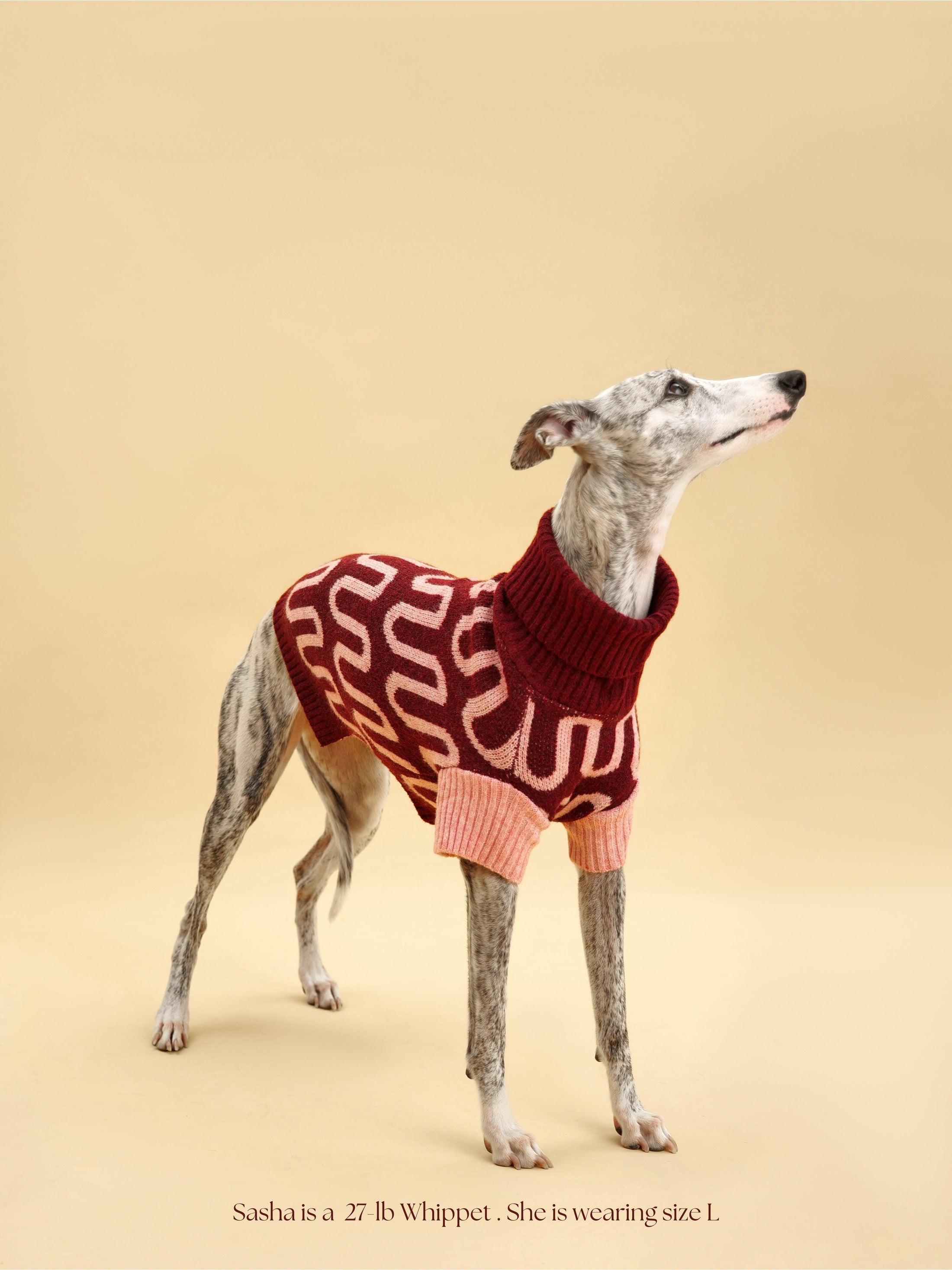 Rosé Bliss Sweater 
