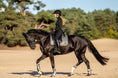 Load image into Gallery viewer, A rider in black attire on a black horse wearing Southlake Paws Aurum Open Front Boots, trotting on sandy terrain.
