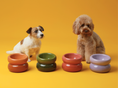 Load image into Gallery viewer, Soufflé Pet Bowl - Purple

