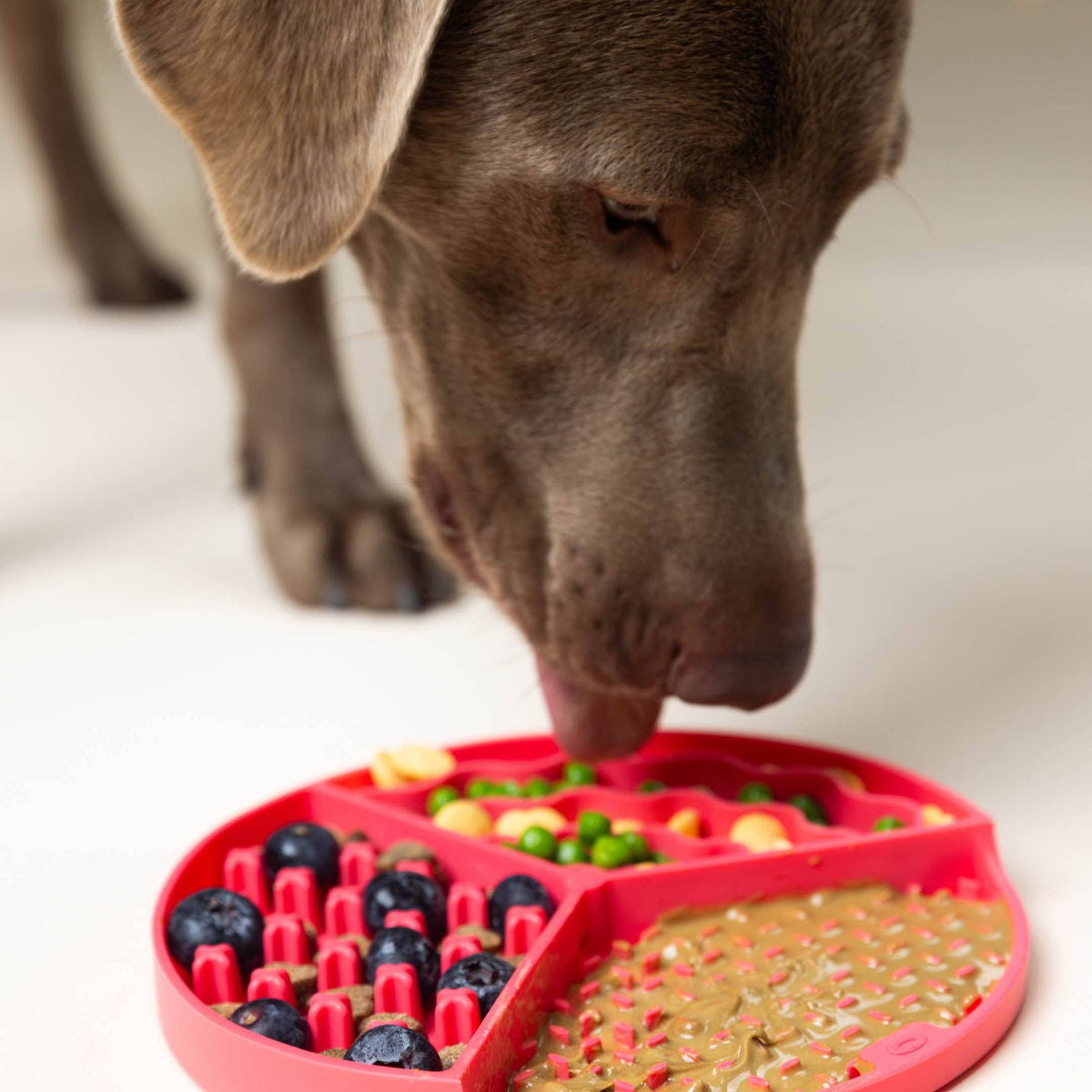 Yellow Dog & Cat Lick Mat