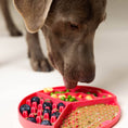 Load image into Gallery viewer, Green Dog & Cat Lick Mat
