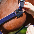Load image into Gallery viewer, Magna Halter ™ in Blue with Fleece Noseband and Leather Breakaway
