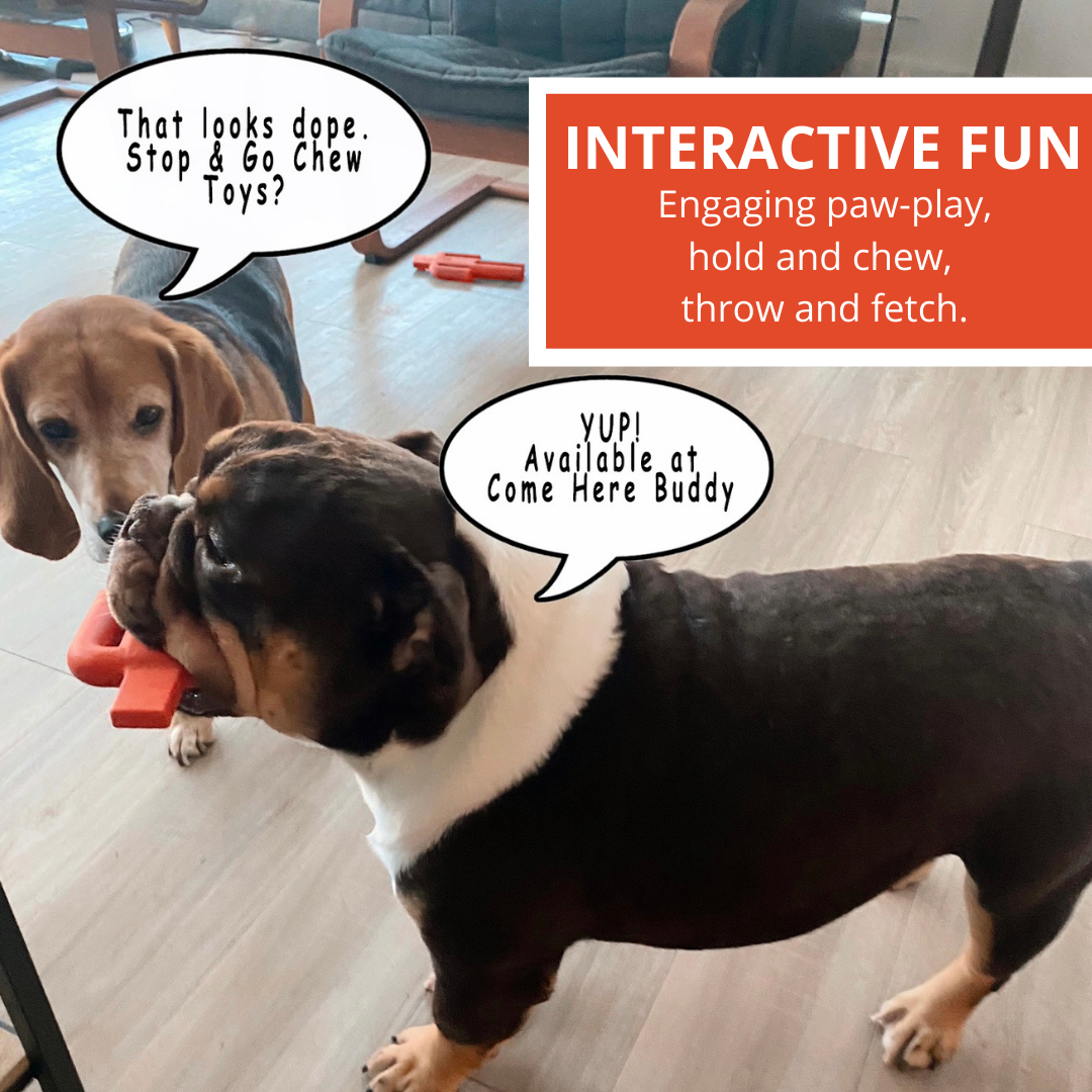 Dog Chew Toy - Southlake Paws