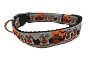 Dachshunds in Costumes SaucyDog Collar