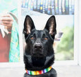 Load image into Gallery viewer, TKC Rainbow Beaded Dog Collar
