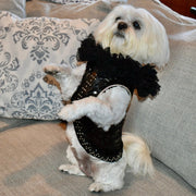 C’Mimi Designer Couture “Elektra” Dog Party Dress